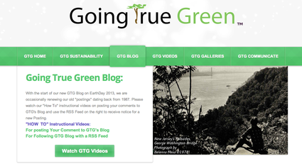 going true green, going green, environment, saving energy, sustainability